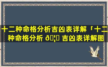 十二种命格分析吉凶表详解「十二种命格分析 🦆 吉凶表详解图 🌴 片」